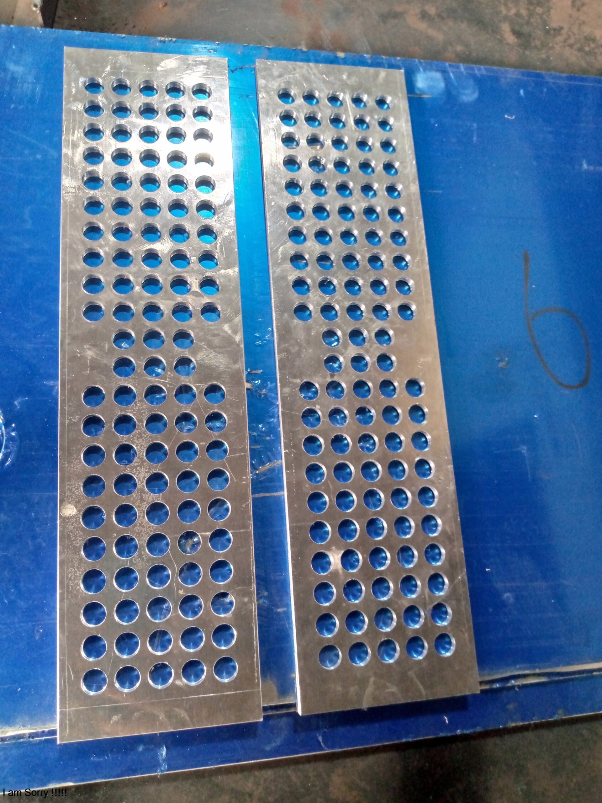 IMG_20240824_150644_0738