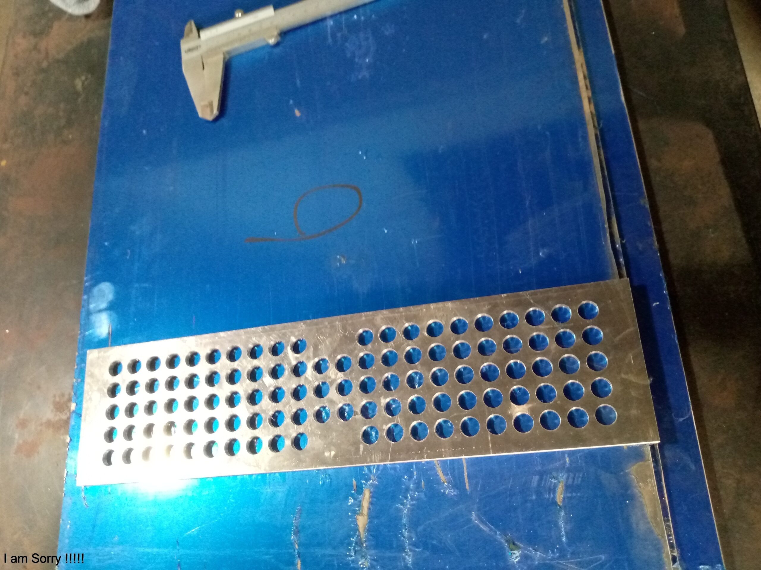 IMG_20240824_150647_0600